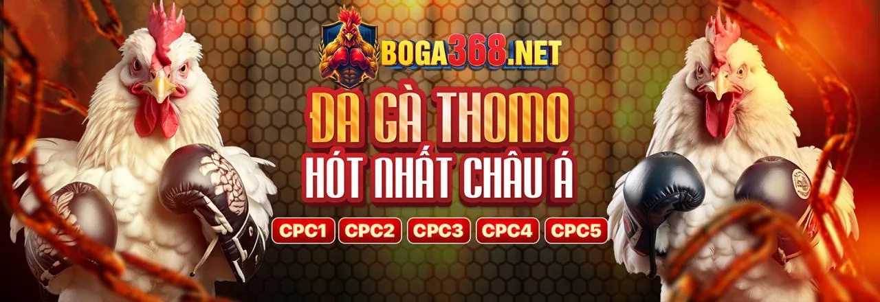 Đá Gà Trực Tuyến Kịch Tính tại 168f Nhà Cái
